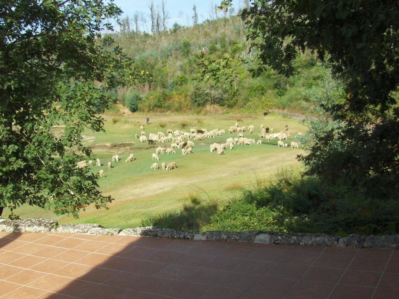 Traditional Mansion In Treixedo With Swimming Pool Extérieur photo